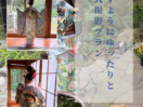 鎌倉山古民家スタジオ縁樹庵の成人式前撮り・後撮り。ママ振袖のお持ち込みサポートからネットレンタルまで対応。着付け・ヘア・全データ込のフルセットに加える人気のロケーション撮影もより手軽に。プロの伴走でご家族と一緒に特別な一日を残せます。